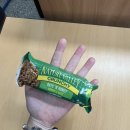 수민태양광 이미지