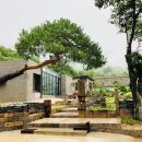 장터맛집 이미지