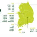 뱃살도둑신대방 이미지