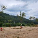 돌고래오토캠핑장 이미지