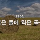 넓은 들에 익은 곡식, 589장 이미지