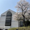 투썸플레이스신촌연세동문회관점