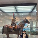 고성박물관 이미지