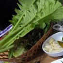 돔수산초밥 | ​광주 월곡시장 하남수산 참돔 유비끼 大 재방문 솔직후기
