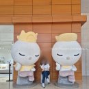 용산-78 | [용산] 국립중앙박물관 주차, 전시회 관람, 기념품 꿀팁(평일 방문후기)