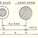 골재의 특성 이미지