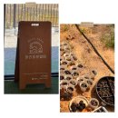 열매농장 | 안성 아기랑 아리따운열매 다녀온 후기 실내키즈카페+농장체험 화분심기 🪴