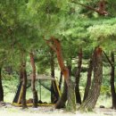 예쁜연못집 민박 이미지