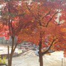 경창한의원 이미지