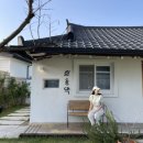희동댁 | 경주 애견 동반 독채 펜션 '희동댁', 인스타 감성 숙소 후기
