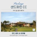 강릉 샌드파인cc 1박2일 골프 패키지 예약 후기, 자연 속에서 진정한 휴가를 즐기다