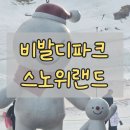 성공카랜드 | 홍천 비발디파크 스노위랜드 후기｜아이랑 눈썰매장 오픈런 성공, 케이블카 패키지 꿀이었죠
