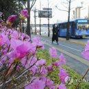 대덕대로-19 이미지