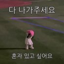 A1238 | 아이팟 클래식 7세대 🎧