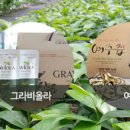 꿈에그린(주) 이미지