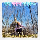 영월 백운산 산행후기 동강 뷰와 체감 난이도 솔직 정리