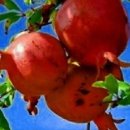 마스크착용의 폐해(부작용 등) 이미지