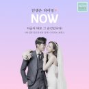 나우결혼정보회사 이미지