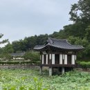 🏛️ 강원 강릉 선교장: 시간이 멈춘 듯한 고택에서 만나는 조선의 풍류 💫