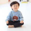 경희대 석사 비룡 태권도 | 신월동비룡태권도 제자들 너무 사랑스럽죠!!