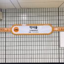 21년 03-13 케이펫페어 서울(세텍) 방문후기🐶