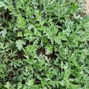 도경농장 이미지