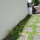 서재1체육관 이미지