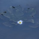 내동마을 이미지