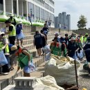 거북섬동 이미지