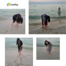 베트남 푸꾸옥 4박6일 일정 패키지 해외여행 사오비치 코스 추천
