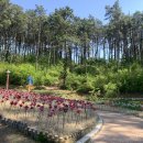 연꽃어린이공원 화장실 이미지