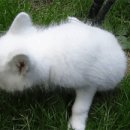 체리 PC방 이미지