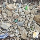 은어송초등학교/은어송유치원 이미지