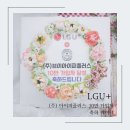 브이아이피플러스 이미지