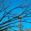 위드홍지민 이미지