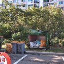 강남-163 이미지