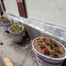 신평1동-9 이미지