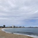 세븐일레븐 교암해변점 이미지