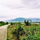 낙동강변1 이미지