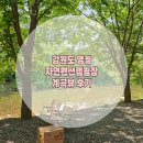 강원도 영월 계곡뷰 자연펜션캠핑장 후기 자연속에서 완벽한 휴식