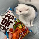 레포트 쓰다 돌아버린 사람