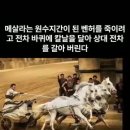 벤허 - 영등포구 국회대로72길 7 | 벤허