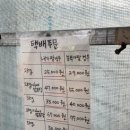 꽃귤농장