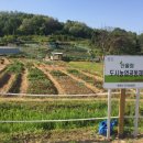 산울림 농장 이미지
