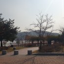 뮬리네일 | 경주 선덕여왕 공원 핑크뮬리 단지 조금 늦은 후기
