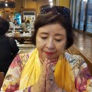 토성오리 이미지