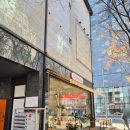 신선로149번길L | 광교 호수공원 애견동반카페 법조타운 근처 크레마일 방문기