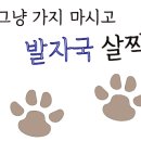 숑숑마켓