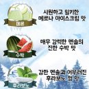 하이망고 이미지