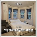 오늘하루 애견 동반 스파펜션 이미지